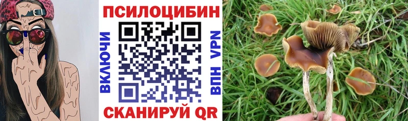 Галлюциногенные грибы Magic Shrooms  Купить где  Тотьма 